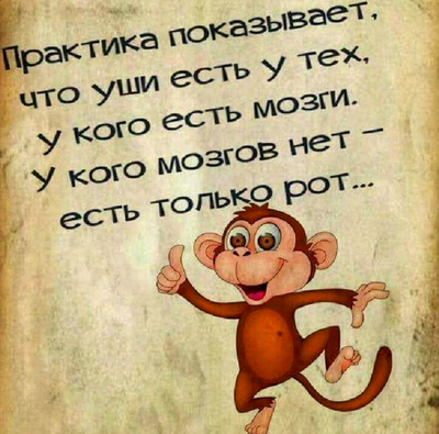 Безымянный.png