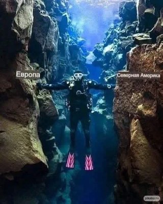 FB_IMG_1741039690422.jpg