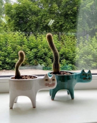 коты кактусы.jpg