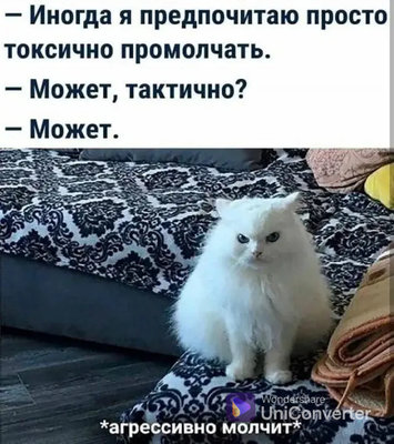 кот молчит.jpg