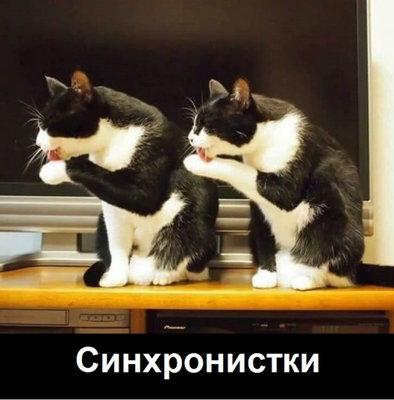 синхрон.jpg