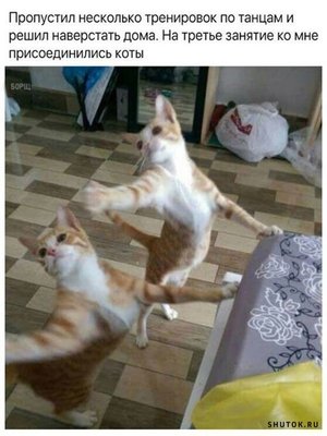 танцы.jpg