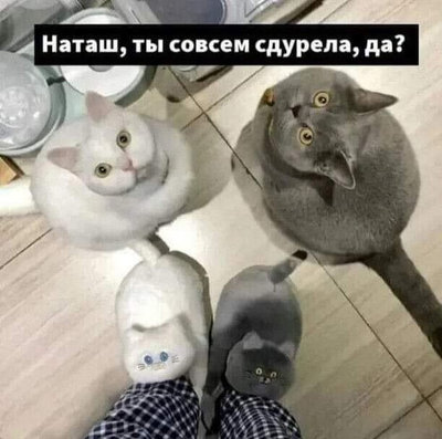 ктапки.jpg