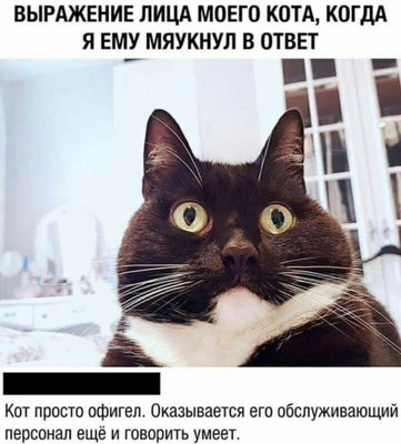 говорит.jpg