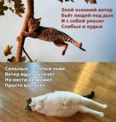 волочет.jpg