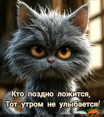 FB_IMG_1741892604063.jpg