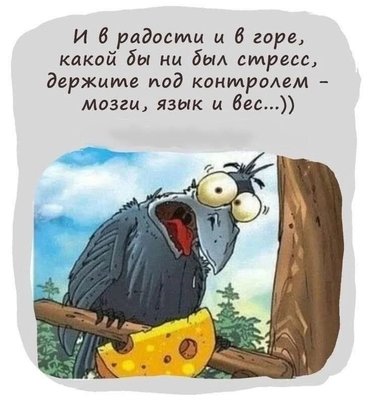 FB_IMG_1742301397121.jpg