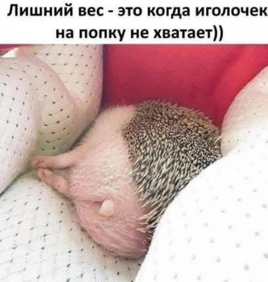 FB_IMG_1741371295120.jpg