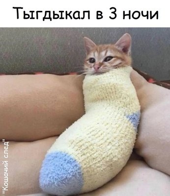 PWcvheUOlvgOX7CDgC9xAc-o49FoJeW7bz-nvfrwqRgJk81H8NPMWxE5GHDN0Bze8c-jMTxHbo9h--BZ0NcXenHT.jpg