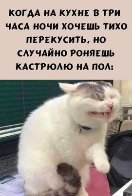 FB_IMG_1732904963263.jpg