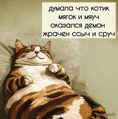 FB_IMG_1732901759581.jpg