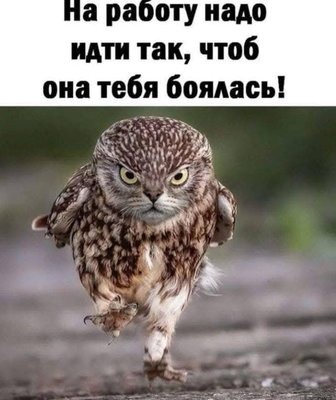 FB_IMG_1742657235623.jpg