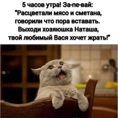 FB_IMG_1741810098125.jpg