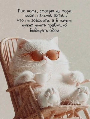 FB_IMG_1742413288352.jpg
