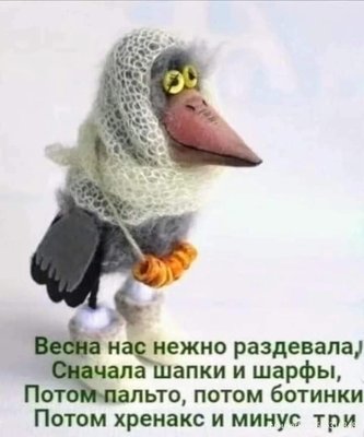FB_IMG_1742364262050.jpg