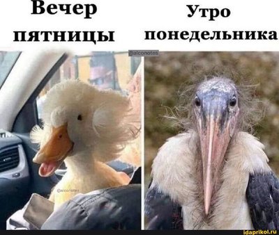 FB_IMG_1742319452155.jpg