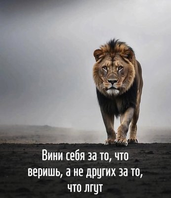 FB_IMG_1742319144164.jpg