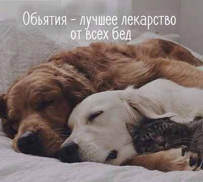 PySDuZBVGdQgXiuQspRf2K8gnaKBCWDF7sr7CC_xPaI3WADCtQSA9SZe2IBf3n38b2iqKkI4dyoKPHpOk-pFuYQc.jpg