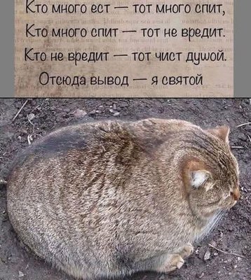 FB_IMG_1742826173279.jpg