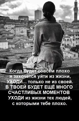 FB_IMG_1741040804048.jpg