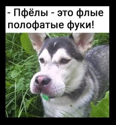 FB_IMG_1743168009989.jpg