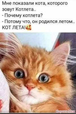 FB_IMG_1741810000417.jpg