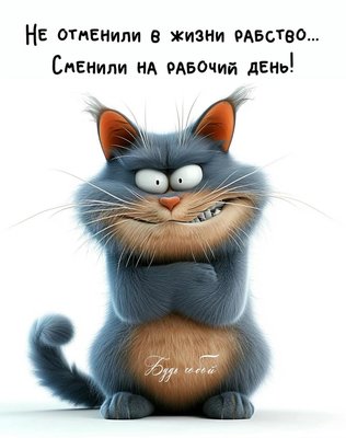 FB_IMG_1742840725849.jpg