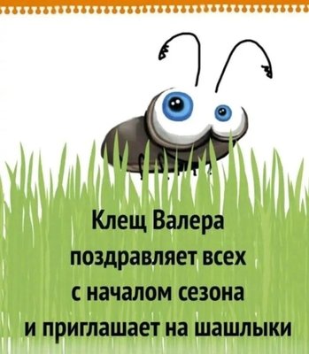 FB_IMG_1744096074341.jpg