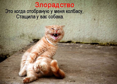 Безымянный.png