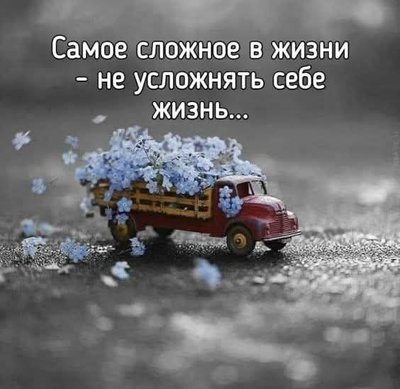 FB_IMG_1744627291527.jpg