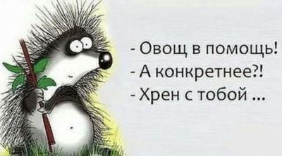 FB_IMG_1744609756189.jpg