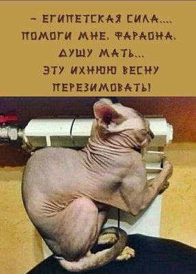 FB_IMG_1744398586925.jpg