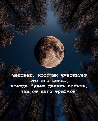 FB_IMG_1744397412075.jpg