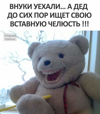FB_IMG_1728676260071.jpg