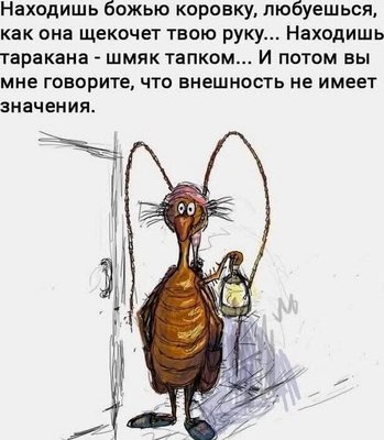FB_IMG_1745085848569.jpg