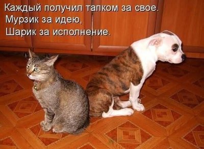 FB_IMG_1744609957943.jpg