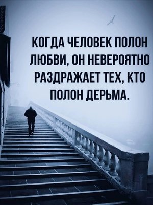 FB_IMG_1744397000549.jpg
