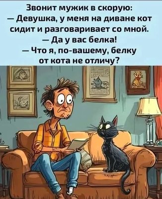 FB_IMG_1745244767091.jpg