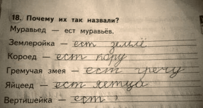 названия.png