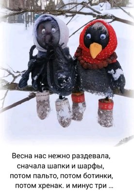 FB_IMG_1744383218676.jpg