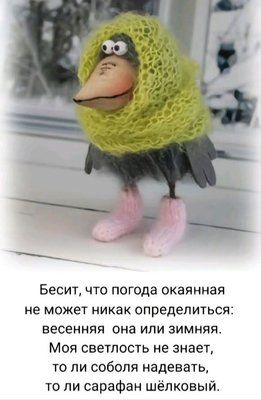 FB_IMG_1744375077809.jpg
