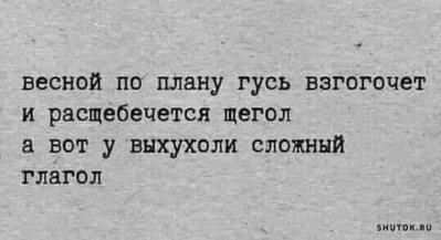 выхухоль юмор.jpg