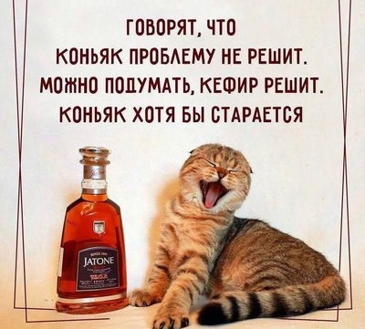 FB_IMG_1744096816870.jpg