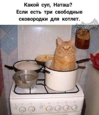 FB_IMG_1743498027351.jpg