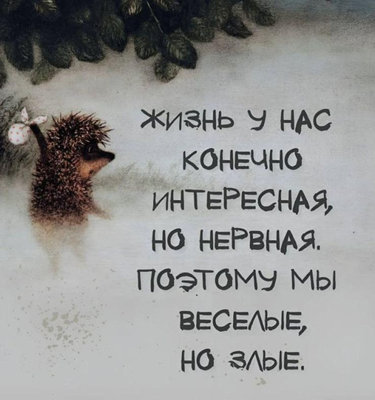 веселые злые.jpg