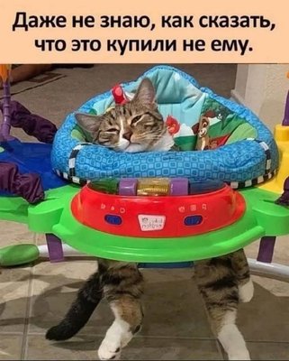 FB_IMG_1743497404454.jpg