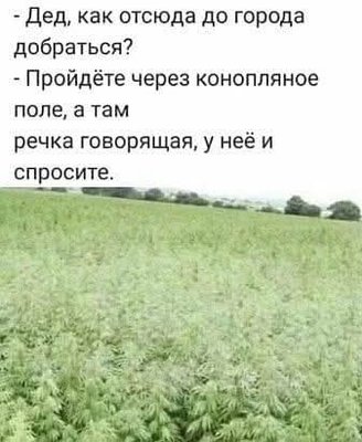 FB_IMG_1747747185255.jpg