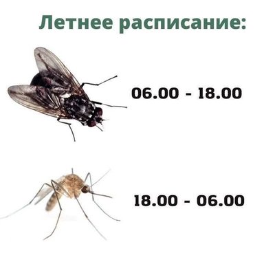 FB_IMG_1748466892207.jpg