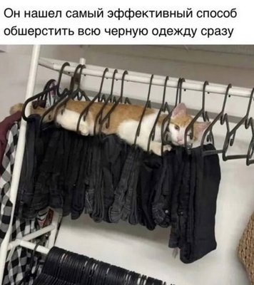 обшерстить.jpg