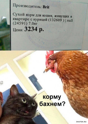 корм.jpg